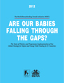The Global Strategy for Infant and Young Child Feeding in 51 Countries